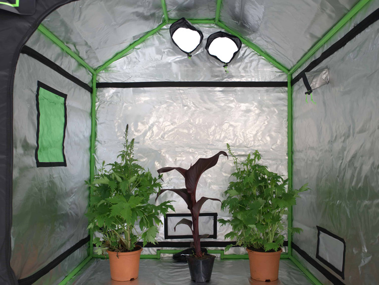 Grow Tent